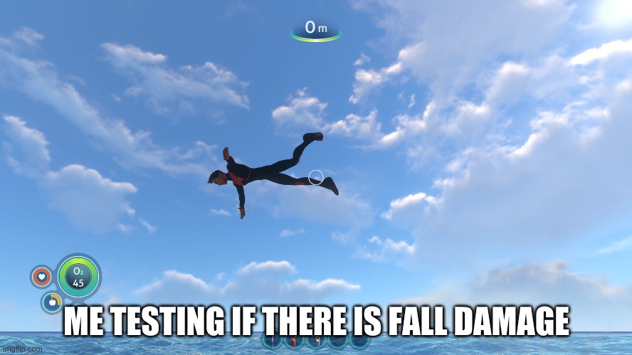 Fall Damage Boy | ME TESTING IF THERE IS FALL DAMAGE | image tagged in the fly boy | made w/ Imgflip meme maker