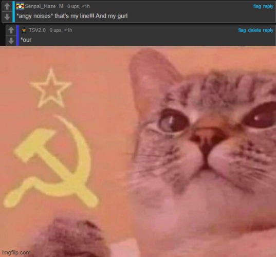 image tagged in communist cat | made w/ Imgflip meme maker