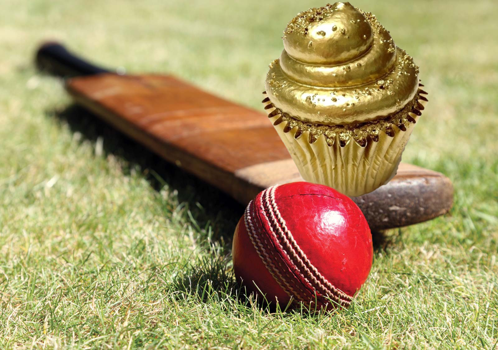 Cricket Cupcake Blank Meme Template