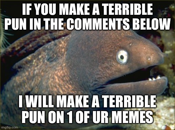 I would r-eel-y appreciate it | IF YOU MAKE A TERRIBLE PUN IN THE COMMENTS BELOW; I WILL MAKE A TERRIBLE PUN ON 1 OF UR MEMES | image tagged in memes,bad joke eel | made w/ Imgflip meme maker