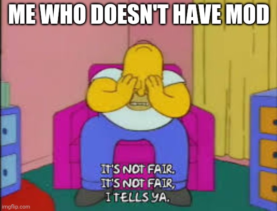 Homer it's not fair | ME WHO DOESN'T HAVE MOD | image tagged in homer it's not fair | made w/ Imgflip meme maker