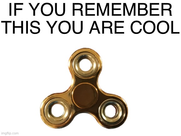 2017 be like... |  IF YOU REMEMBER THIS YOU ARE COOL | image tagged in fidget spinner | made w/ Imgflip meme maker