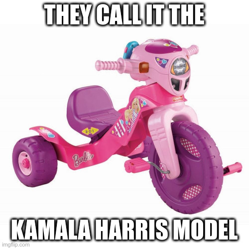 THEY CALL IT THE KAMALA HARRIS MODEL | made w/ Imgflip meme maker