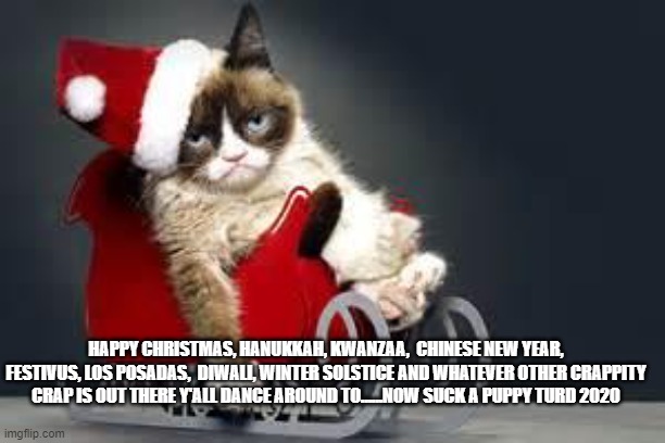 Happy......Whatever..... | HAPPY CHRISTMAS, HANUKKAH, KWANZAA,  CHINESE NEW YEAR, FESTIVUS, LOS POSADAS,  DIWALI, WINTER SOLSTICE AND WHATEVER OTHER CRAPPITY CRAP IS OUT THERE Y'ALL DANCE AROUND TO......NOW SUCK A PUPPY TURD 2020 | image tagged in compliance cat holidays | made w/ Imgflip meme maker