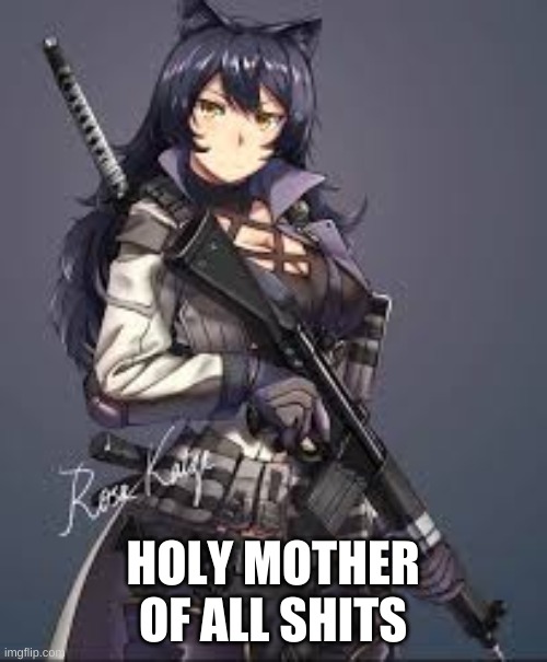 Blake Belladonna combat gear | HOLY MOTHER OF ALL SHITS | image tagged in blake belladonna combat gear | made w/ Imgflip meme maker