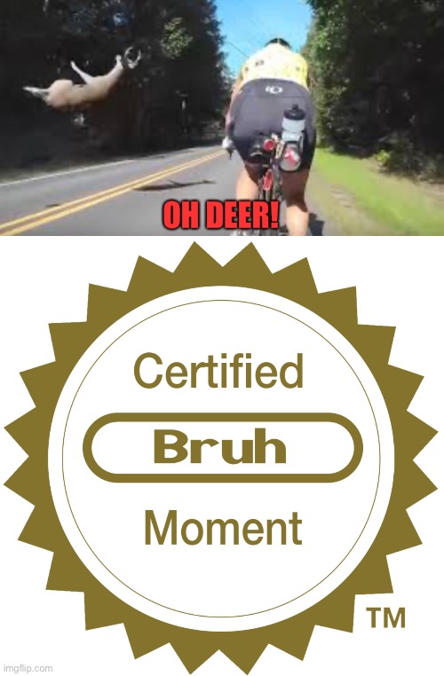 Smh | image tagged in oop,lol,xd,wtf oh deer,bad pun day | made w/ Imgflip meme maker