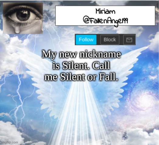 *Insert Title Here* | My new nickname is Silent. Call me Silent or Fall. | image tagged in fallenangel99's template,silent | made w/ Imgflip meme maker