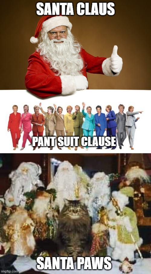 SANTA CLAUS; PANT SUIT CLAUSE; SANTA PAWS | image tagged in santa thumbs up,hillary pantsuit,cat santa army | made w/ Imgflip meme maker