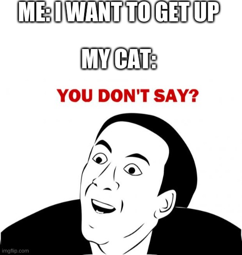 ME: I WANT TO GET UP; MY CAT: | image tagged in blank white template,memes,you don't say | made w/ Imgflip meme maker