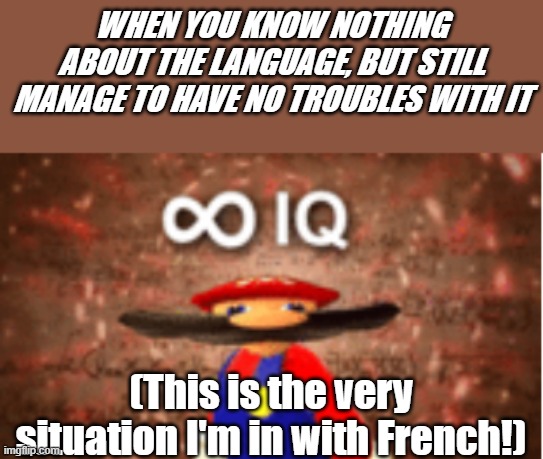 No Troubles with Links! | WHEN YOU KNOW NOTHING ABOUT THE LANGUAGE, BUT STILL MANAGE TO HAVE NO TROUBLES WITH IT; (This is the very situation I'm in with French!) | image tagged in infinite iq | made w/ Imgflip meme maker