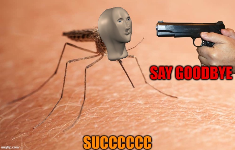 Not on my watch Mosquito! | SAY GOODBYE | image tagged in mosquito,nope,meme man | made w/ Imgflip meme maker