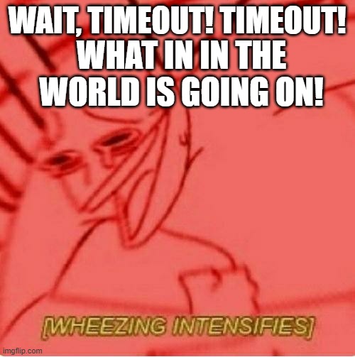 Wheeze | WAIT, TIMEOUT! TIMEOUT! WHAT IN IN THE WORLD IS GOING ON! | image tagged in wheeze | made w/ Imgflip meme maker