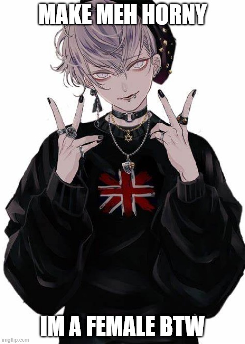 MAKE MEH HORNY; IM A FEMALE BTW | made w/ Imgflip meme maker