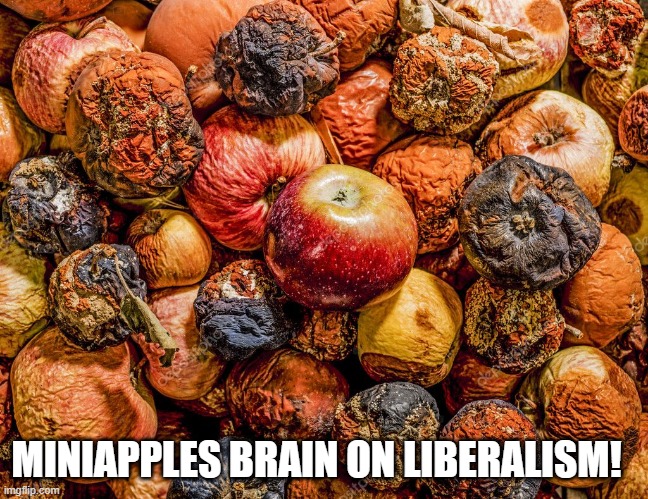 MINIAPPLES BRAIN ON LIBERALISM! | made w/ Imgflip meme maker