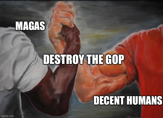 Joining hands | MAGAS; DESTROY THE GOP; DECENT HUMANS | image tagged in joining hands | made w/ Imgflip meme maker