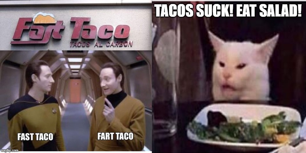TACOS SUCK! EAT SALAD! | image tagged in smudge the cat,tacos | made w/ Imgflip meme maker