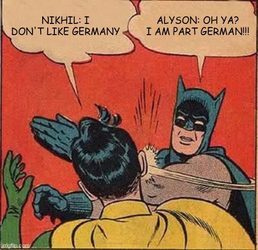 When Your German and Someone Doesn't Like Germany | NIKHIL: I DON'T LIKE GERMANY; ALYSON: OH YA? I AM PART GERMAN!!! | image tagged in memes,batman slapping robin,germany,haters | made w/ Imgflip meme maker