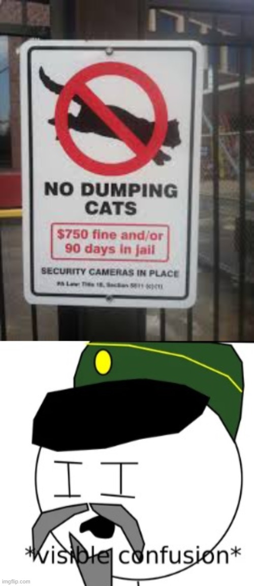 No dumping cats | image tagged in visible confusion | made w/ Imgflip meme maker