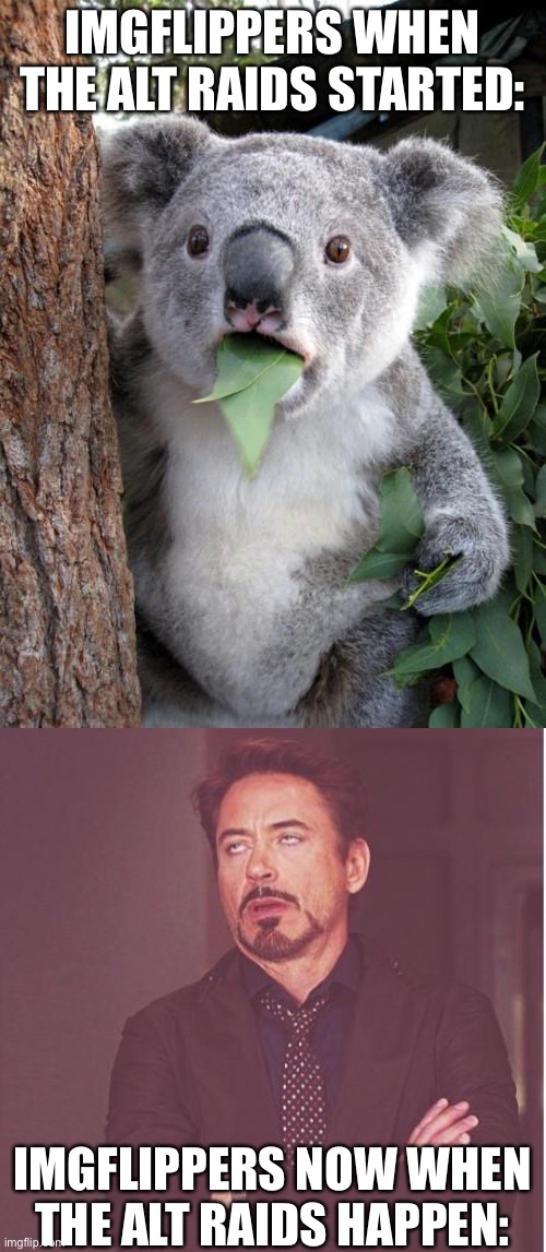 Unless... u still find some entertaining | IMGFLIPPERS WHEN THE ALT RAIDS STARTED:; IMGFLIPPERS NOW WHEN THE ALT RAIDS HAPPEN: | image tagged in memes,surprised koala,face you make robert downey jr,funny,alt raids | made w/ Imgflip meme maker