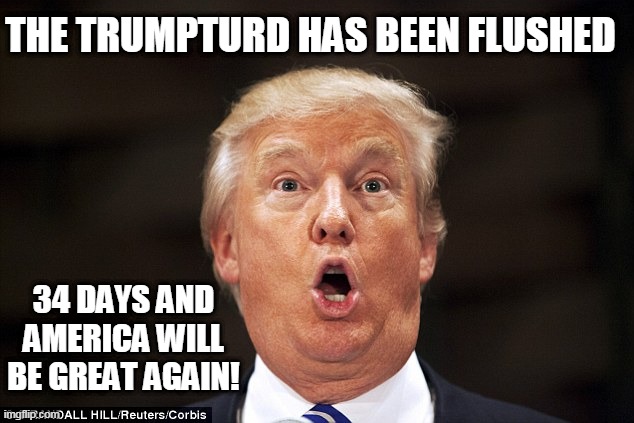 the trumpturd has been flushed | THE TRUMPTURD HAS BEEN FLUSHED; 34 DAYS AND AMERICA WILL BE GREAT AGAIN! | image tagged in trumptard | made w/ Imgflip meme maker