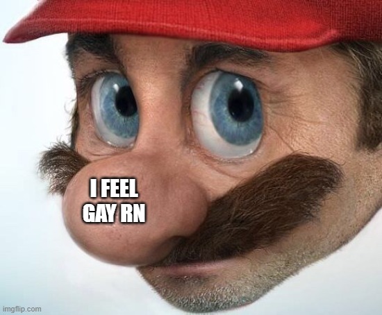 bisexual but more gay then straight ;) i feel really lesbian like i want to kiss a female human right now- i sound like i creep- | I FEEL GAY RN | image tagged in mario irl | made w/ Imgflip meme maker