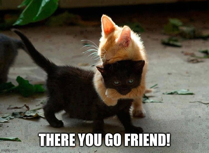 kitten hug | THERE YOU GO FRIEND! | image tagged in kitten hug | made w/ Imgflip meme maker