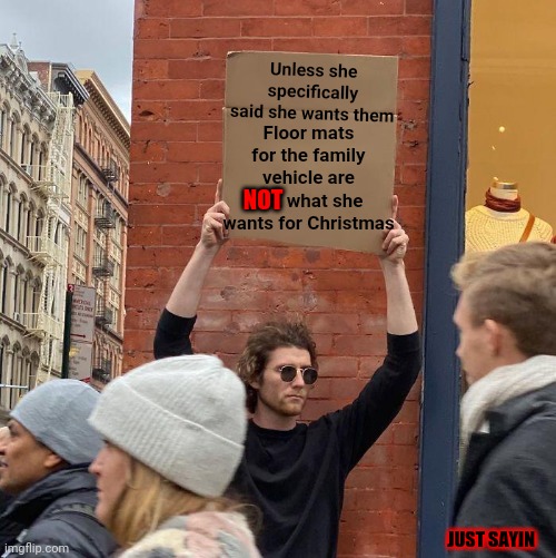 Truth | Unless she specifically said she wants them; Floor mats for the family vehicle are not what she wants for Christmas; NOT; JUST SAYIN | image tagged in memes,guy holding cardboard sign,christmas,christmas presents,christmas gifts,christmas memes | made w/ Imgflip meme maker