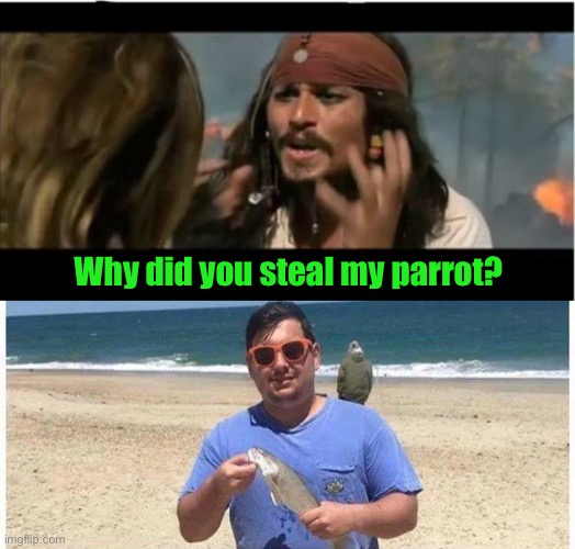 Walking the plank for that crime. | Why did you steal my parrot? | image tagged in memes,why is the rum gone,parrot,sort of,funny | made w/ Imgflip meme maker