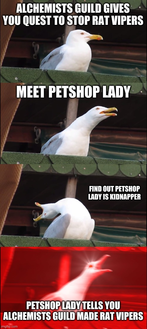 my DnD campaign | ALCHEMISTS GUILD GIVES YOU QUEST TO STOP RAT VIPERS; MEET PETSHOP LADY; FIND OUT PETSHOP LADY IS KIDNAPPER; PETSHOP LADY TELLS YOU ALCHEMISTS GUILD MADE RAT VIPERS | image tagged in memes,inhaling seagull,dnd | made w/ Imgflip meme maker