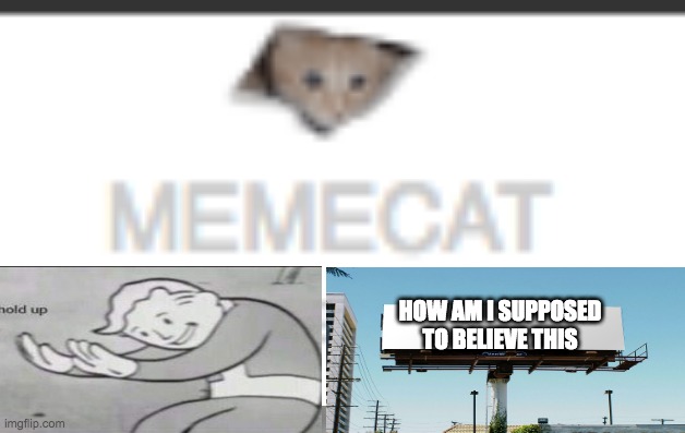 how do i believe dis | HOW AM I SUPPOSED TO BELIEVE THIS | image tagged in ceiling cat | made w/ Imgflip meme maker