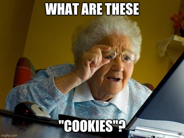Grandma Finds The Internet |  WHAT ARE THESE; "COOKIES"? | image tagged in memes,grandma finds the internet | made w/ Imgflip meme maker