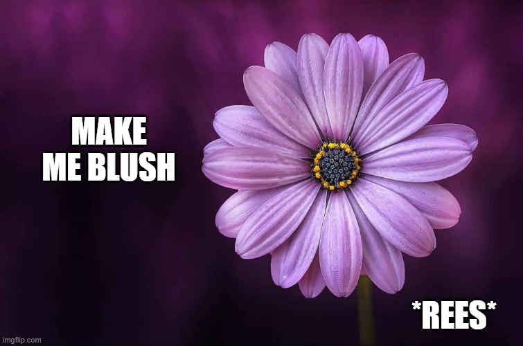 i am already very flustered rn so i dont know if theres anything you can say that WONT make me blush -_- | MAKE ME BLUSH; *REES* | made w/ Imgflip meme maker