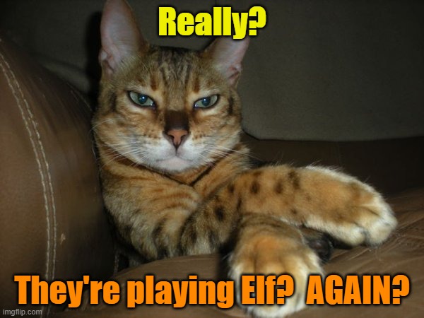 Is it on like 24-7 or what? | Really? They're playing Elf?  AGAIN? | image tagged in christmas,cats,elf,funny cats,pets,christmas movies | made w/ Imgflip meme maker