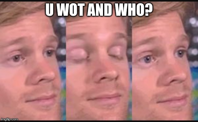 Blinking guy | U WOT AND WHO? | image tagged in blinking guy | made w/ Imgflip meme maker
