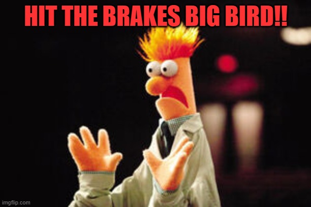 HIT THE BRAKES BIG BIRD!! | made w/ Imgflip meme maker