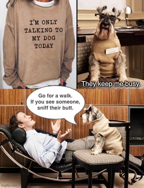 Therapy | They keep me busy. Go for a walk. If you see someone, sniff their butt. | image tagged in funny memes,funny dog memes,therapy,funny dogs | made w/ Imgflip meme maker