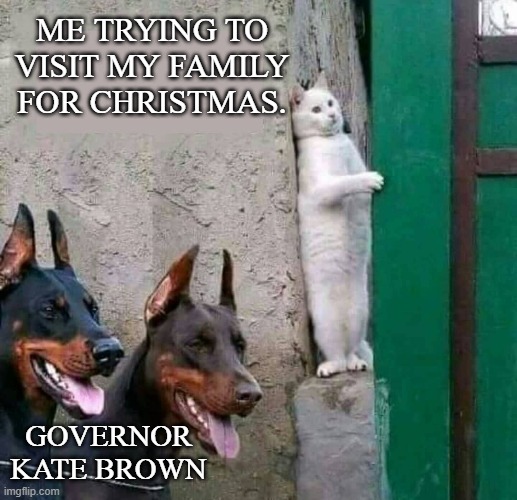 Stealth cat | ME TRYING TO VISIT MY FAMILY FOR CHRISTMAS. GOVERNOR KATE BROWN | image tagged in stealth cat,holidays,christmas,covid-19,oregon,rights | made w/ Imgflip meme maker
