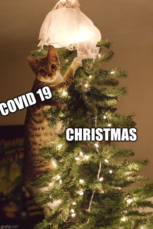 fr tho | COVID 19; CHRISTMAS | image tagged in funny | made w/ Imgflip meme maker