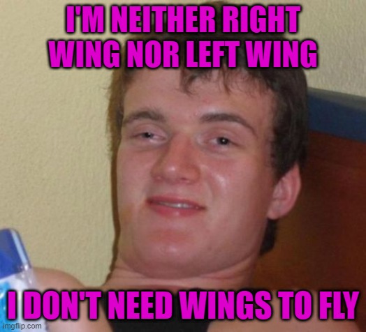 Whattup you arguing MoFo's? | I'M NEITHER RIGHT WING NOR LEFT WING; I DON'T NEED WINGS TO FLY | image tagged in memes,10 guy,arguing mofo's,funny,fly high,wingnuts | made w/ Imgflip meme maker