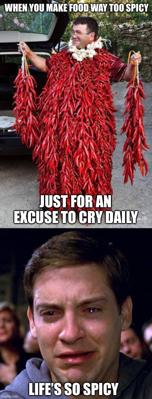 WHEN YOU MAKE FOOD WAY TOO SPICY; JUST FOR AN EXCUSE TO CRY DAILY; LIFE’S SO SPICY | image tagged in spicy,crying peter parker | made w/ Imgflip meme maker