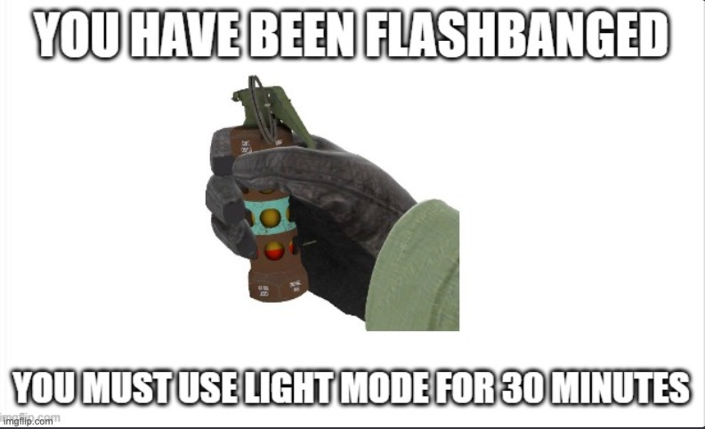Flash bang | image tagged in funny | made w/ Imgflip meme maker