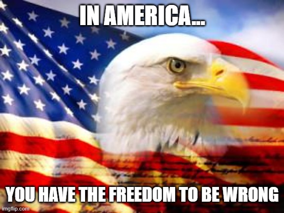 In America | IN AMERICA... YOU HAVE THE FREEDOM TO BE WRONG | image tagged in american flag,freedom,wrong,rights,americans,ideas | made w/ Imgflip meme maker