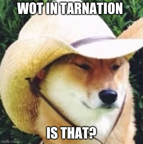 Wot in tarnation | WOT IN TARNATION IS THAT? | image tagged in wot in tarnation | made w/ Imgflip meme maker