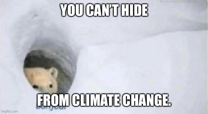 Bonjour Bear | YOU CAN’T HIDE; FROM CLIMATE CHANGE. | image tagged in bonjour bear | made w/ Imgflip meme maker