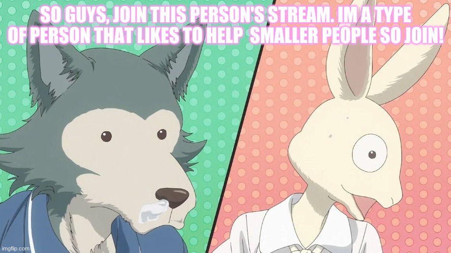 https://imgflip.com/m/Nintendo_Stuff | SO GUYS, JOIN THIS PERSON'S STREAM. IM A TYPE OF PERSON THAT LIKES TO HELP  SMALLER PEOPLE SO JOIN! | image tagged in beastars nani the frick | made w/ Imgflip meme maker