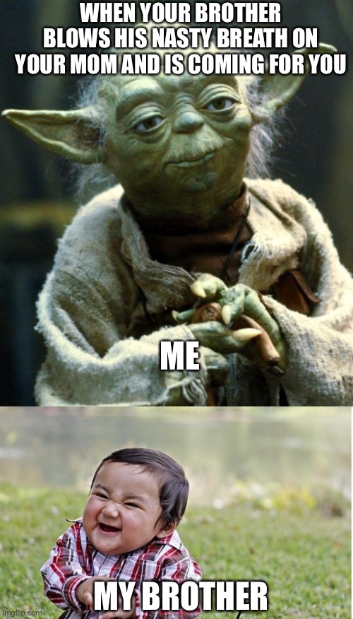 My brother be like |  WHEN YOUR BROTHER BLOWS HIS NASTY BREATH ON YOUR MOM AND IS COMING FOR YOU; ME; MY BROTHER | image tagged in memes,star wars yoda | made w/ Imgflip meme maker