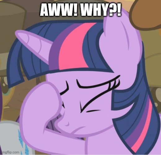 Mlp Twilight Sparkle facehoof | AWW! WHY?! | image tagged in mlp twilight sparkle facehoof | made w/ Imgflip meme maker