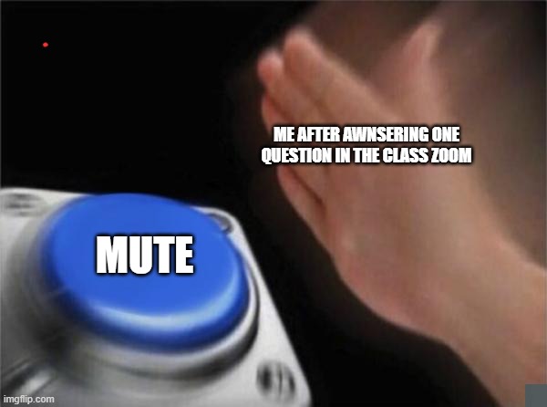 Blank Nut Button Meme | ME AFTER AWNSERING ONE QUESTION IN THE CLASS ZOOM; MUTE | image tagged in memes,blank nut button | made w/ Imgflip meme maker