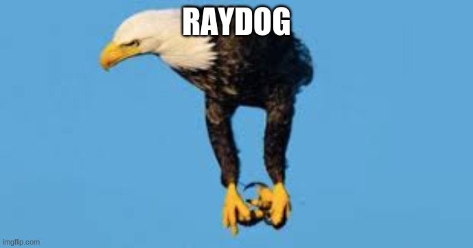 RAYDOG | made w/ Imgflip meme maker