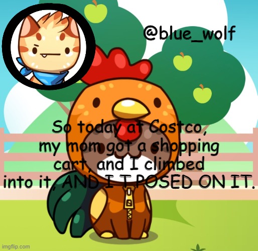 I AM SUPERIOR TO ALL THE PEOPLE IN COSTCO | So today at Costco, my mom got a shopping cart, and I climbed into it, AND I T POSED ON IT. | image tagged in blue wolfs announcement thing | made w/ Imgflip meme maker